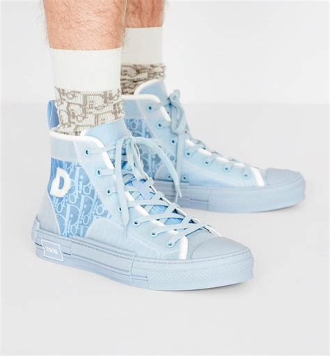 dior b23 daniel arsham